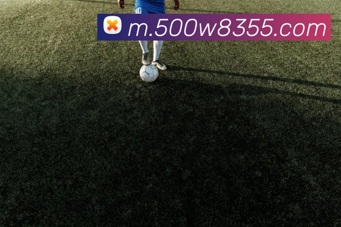 奖项证书